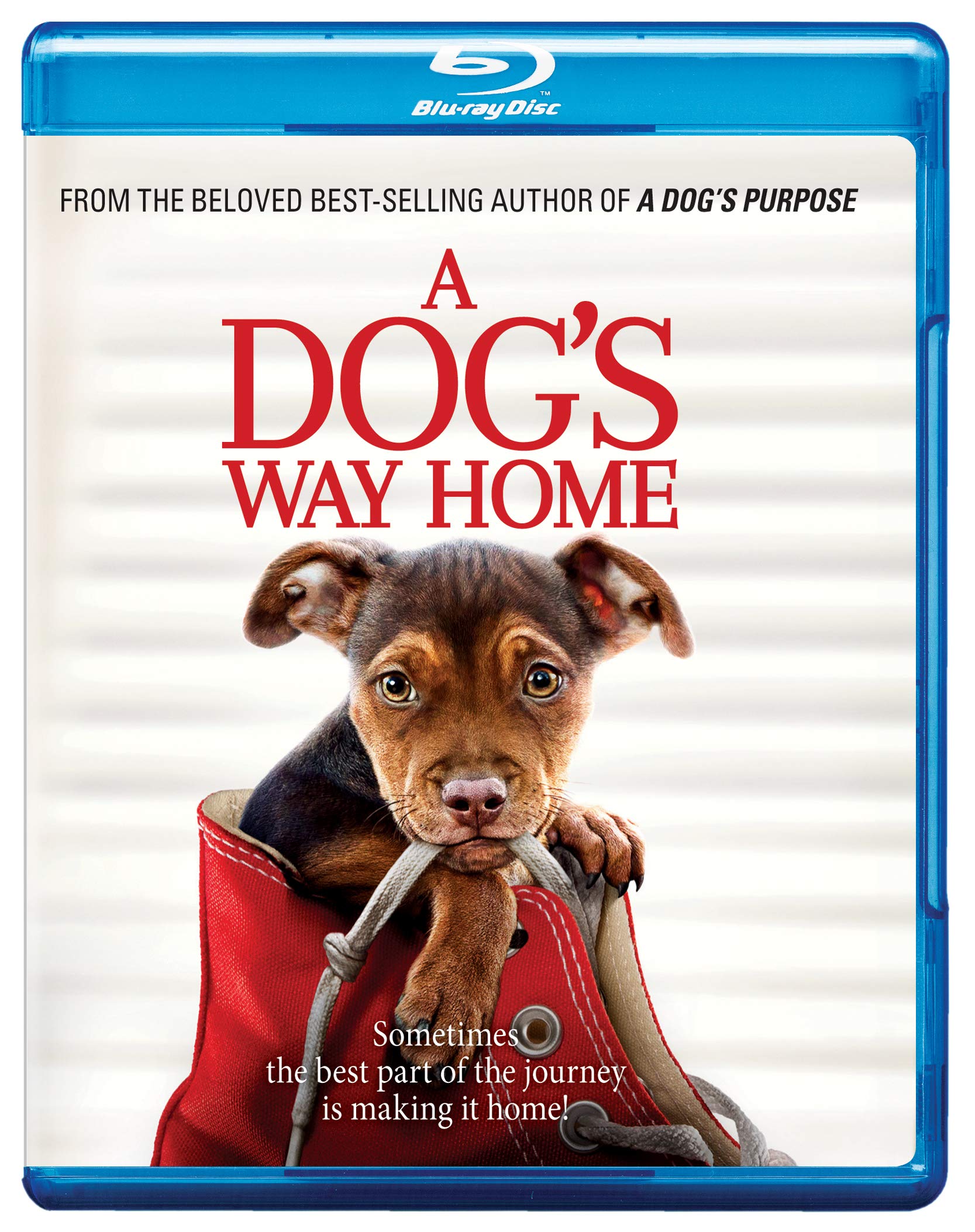 a dogs purpose watch online free