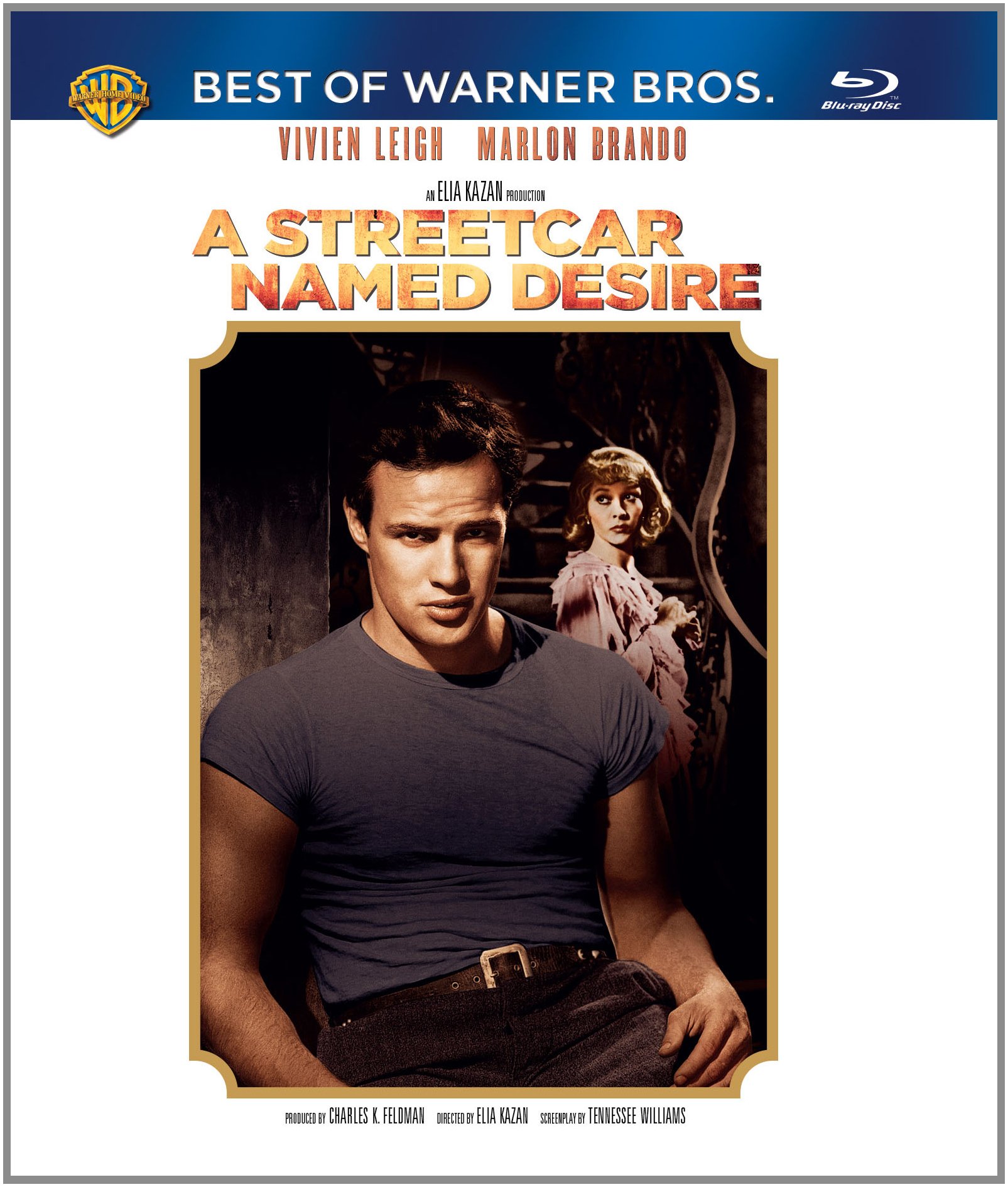 a-streetcar-named-desire-movie-purchase-or-watch-online